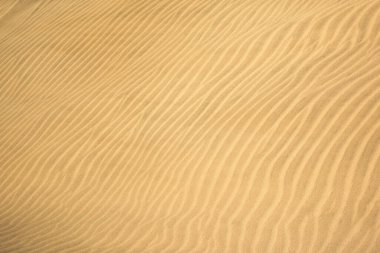 Kum tepeciği deseni dalgalara benziyor.