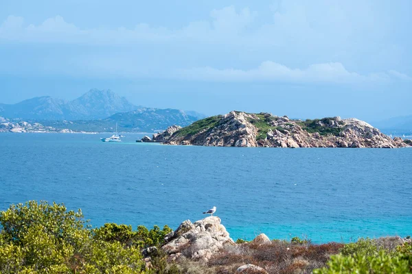 Skály na sardinském pobřeží za slunečného letního dne — Stock fotografie