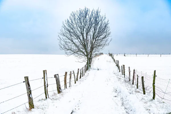 Kışın kar yolu mavi ufukla kaplamıştı.