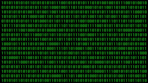 Binäre Ziffernalgorithmen Auf Dem Computer — Stockvideo