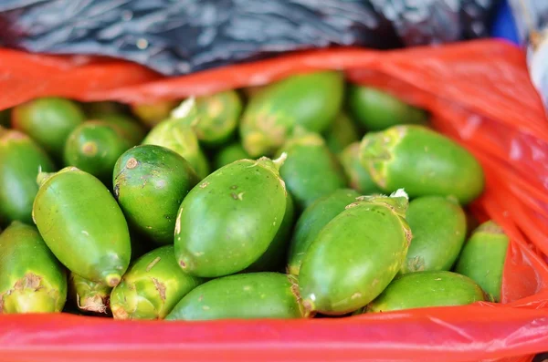 Betelem-arekovoy avuç içi ile fındık torba