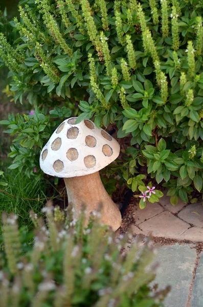 Lamba nane Bush bir mantar şeklinde