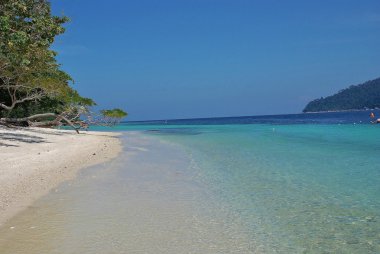 Tay cenneti manzarası