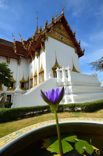 Purple flower on a background of a Buddhist temple — Stock Photo, Image