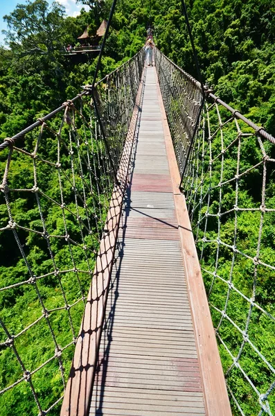 Hangbrug in de bergen van het park Yalong Bay — Stockfoto