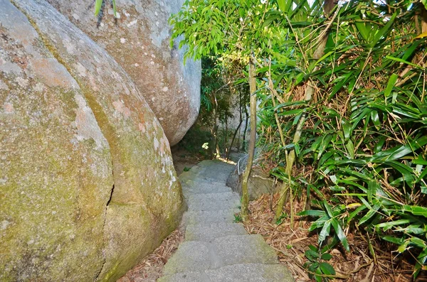 Kő lépcsőház a sziklák — Stock Fotó