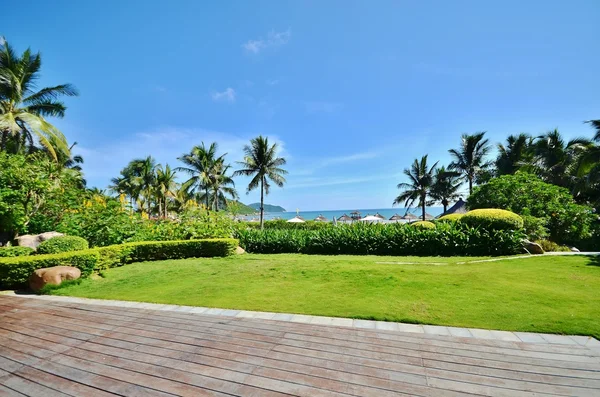 Manicured lawns and shrubs in the resort — Stock Photo, Image