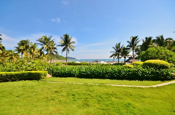 Gepflegte Rasenflächen und Sträucher im Resort — Stockfoto