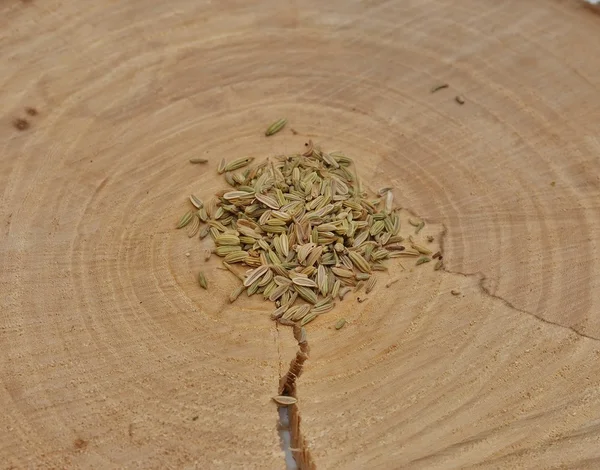 Rezene Tohumları bir kesme bir ağaç üzerinde