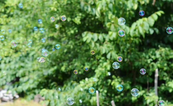 Bolhas de sabão em um fundo de árvores verdes — Fotografia de Stock