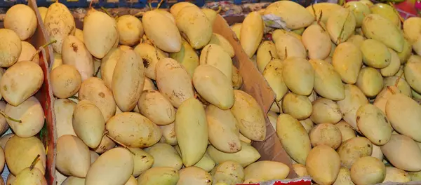 Schachteln mit gelben thailändischen Mango — Stockfoto