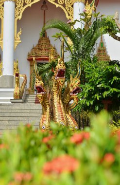 Altın yarım yılan, yarı-dragons Naga merdiven Wat Wichit Sangkaram, Phuket, Tayland için dekorasyon