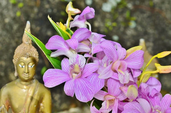 Білий і фіолетовий орхідеї на тлі статуї Будди — стокове фото