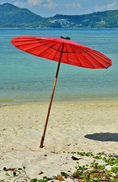 Kırmızı kırmızı şemsiye plajda denize karşı seaparasol karşı sahilde