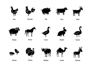 Tavuk, horoz, domuz, inek, keçi, koyun, at, ördek, tavşan ve hindi de dahil olmak üzere çeşitli çiftlik hayvanlarının ikonu..