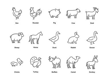 Tavuk, horoz, domuz, inek, keçi, koyun, at, ördek, tavşan, kaz, civciv, hindi, bufalo, deve ve eşek gibi çeşitli çiftlik hayvanlarının simgeleri. Düzenlenebilir vuruş.