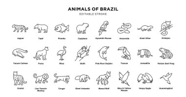 Brezilya 'ya özgü, jaguar, tapir, pirana, capybara, papağan, anakonda, dev su samuru, kinkajou, kayman, puma, miskin, Toucan, armadillo ve daha fazlası gibi hayvanların resimleri..
