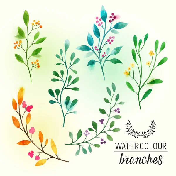 Watercolour Floral Branches — Stock Vector