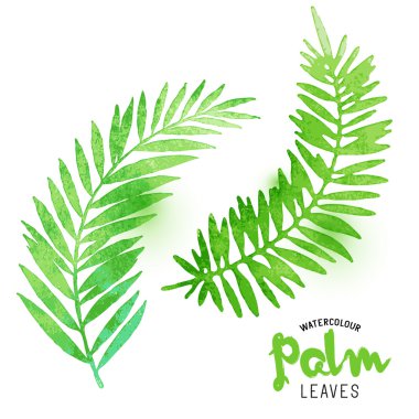 Suluboya palmiye yaprakları