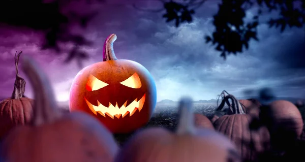 Spooky Halloween Themed Background Design Events Parties Misty Field Pumpkins — Stock Photo, Image