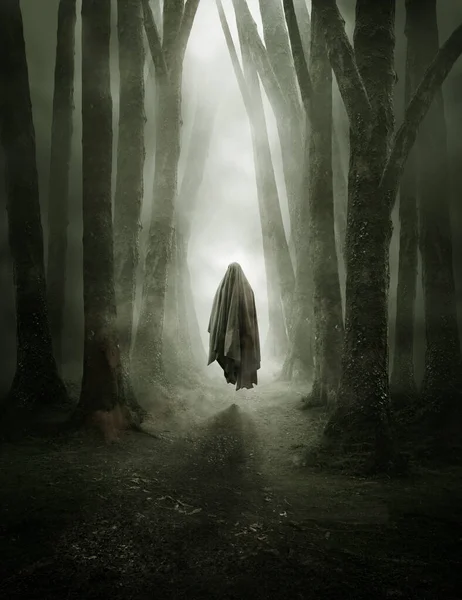 Μια Σκοτεινή Φιγούρα Φάντασμα Κινείται Μέσα Ένα Ομιχλώδες Δάσος Βράδυ — Φωτογραφία Αρχείου