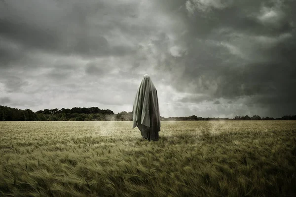 Haunted Bleak Landscape Floating Spirit Ghost Disturbing Concept — Stock Photo, Image