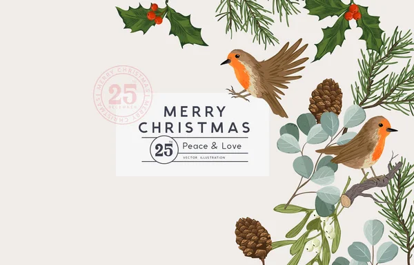 Diseño Diseño Vintage Navidad Invierno Con Aves Robin Follaje Natural — Vector de stock