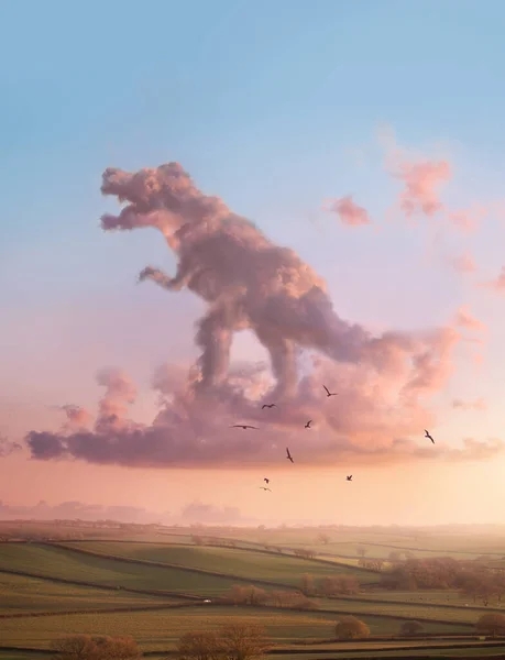 Dinosaur Tyrannosaurus Rex Cloud Shape Floating Distance Sunset Evening Pink — Stock Photo, Image