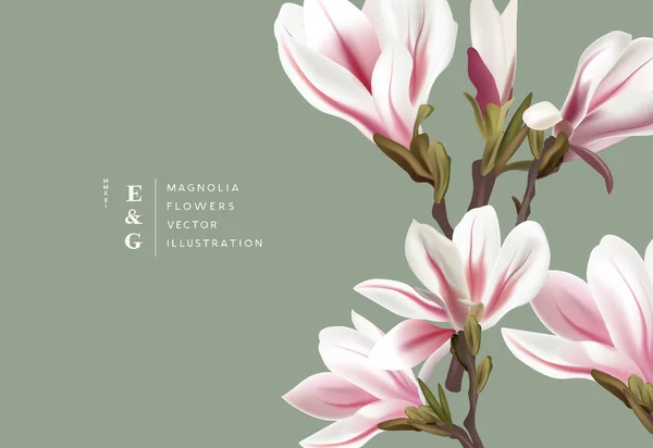 Magnolia Natural Flores Realistas Diseños Diseño Eventos Contemporáneos Comercialización Floral — Archivo Imágenes Vectoriales