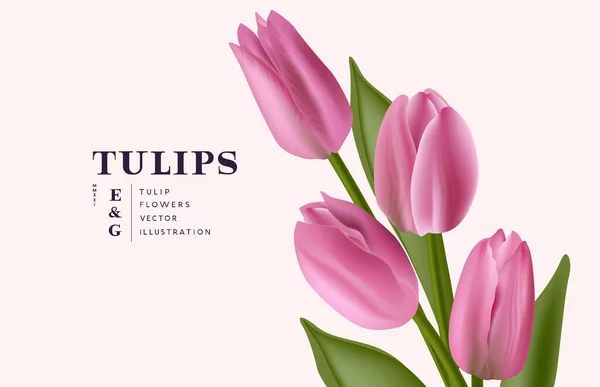 Blommig Realistiska Gäng Tulpan Blommor Bakgrund Samtida Layout Vektor Illustration — Stock vektor