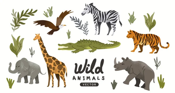 Filler ve kaplanlar da dahil olmak üzere vahşi, başıboş hayvanlar topluluğu. Hayvan Macerası Vektör illüstrasyonu
