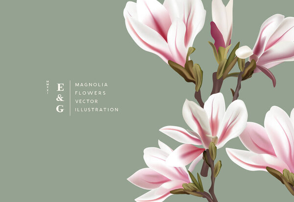 Natural magnolia realistic flowers contemporary event layout designs. Marketing floral pattern background vector illustration. — Stock Illustration Natural Magnolia Realistic Flowers Contemporary Event Layout Designs Marketing Floral — Stock Vector