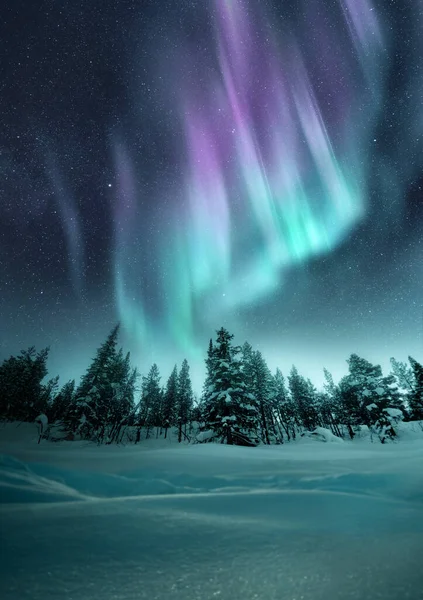 オーロラは スウェーデンの森の上の冬の夜空にちらつきます 写真集 — ストック写真