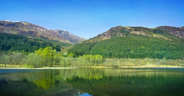 Réflexions forêt et montagne — Photo