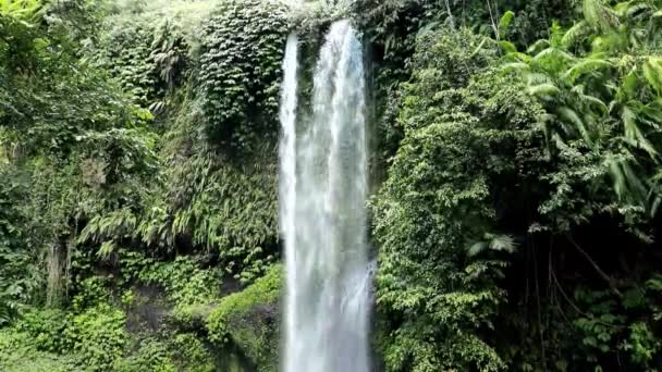 Cachoeira Sindang Gila em Senaru na Ilha Lombok na Indonésia, Ásia — Vídeo de Stock