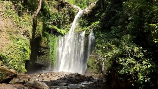 Air Terjun Tiu Kelep, Senaru, Lombok, Indonésie. nahoru pohled na krásný vodopád s vodou stékající ze zelených keřů. kopírovat mezeru na pravé straně snímku. širokoúhlý pohled — Stock video