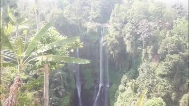 Aerial shot of the biggest waterfall on the Bali island - the Sekumpul waterfall. Travel to Bali concept — Stock Video