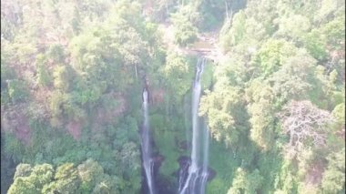Sekumpul Şelalesi, Bali Adası, Endonezya. Ormandaki şelalenin hava manzarası. Havadan doğal manzara. Endonezya - 4k video