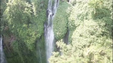 Sekumpul Şelalesi, Bali, Endonezya. Ormandaki şelalenin hava manzarası. Seyahat - Video