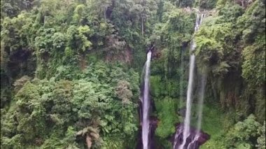 Endonezya, Bali 'deki Sekumpul Şelaleleri. Yeşil yağmur ormanlarında şelale. Dağ ormanında hava manzaralı üçlü tropikal şelale Sekumpul