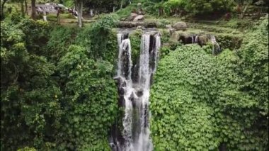 Sekumpul Şelalesi 'nin Bali, Endonezya' daki manzarası