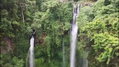 Sekumpul şelalelerine giden yeşil ve yemyeşil doğa yolu, Bali