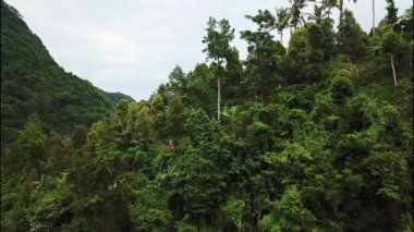 Endonezya 'nın Bali adasındaki Sekumpul şelalelerinde sevgili bir çift. Bali Seyahat Konsepti