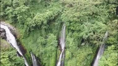 Lemukih şelalesi dağların derinliklerindeki ormanın derinliklerinde. Endonezya, Bali 'deki gizli şelalelerin hava manzarası