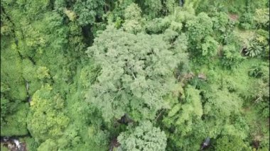 Lemukih şelalesinde. Bali 'nin en çok ziyaret edilen turizm beldelerinden biri olan ülke, bölgeye ulaşmak için zorlu bir yürüyüş yoluna da sahip olmasına karşın, varış noktasında bir kez ödüllendirilmekten fazlasını da yapıyor.