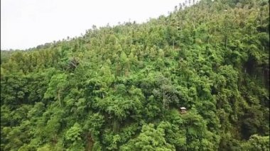 Endonezya 'nın Bali adasındaki Sekumpul şelalelerinde sevgili bir çift. Bali Seyahat Konsepti