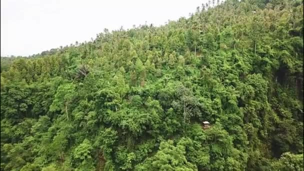 Coppia amorevole alle cascate Sekumpul nella giungla sull'isola di Bali, Indonesia. Concetto di viaggio di Bali — Video Stock