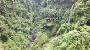 Sekumpul şelaleleri ve nehirler dağlardaki tropikal ormanlarda. Bali, Endonezya. Turist seyahat konsepti. Şelaleye doğru yürüyüş yolu.