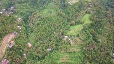 Kuru nehirli ağaçların yanından geçen hava tropikal Bali 'de altın saat güneş ışığı