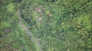 Yağmur ormanlarında bir dağ kanyonunda nehir. Yeşil ormandaki Loboc Nehri. Bohol, Filipinler